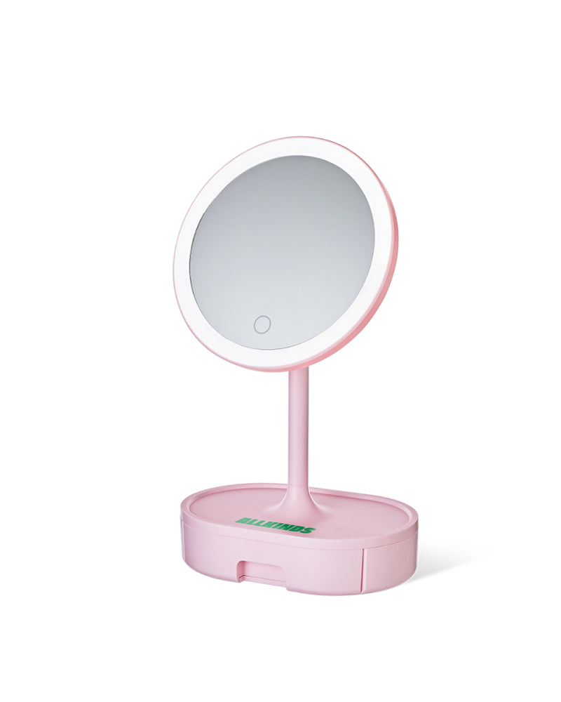 Light Up Storage Mirror