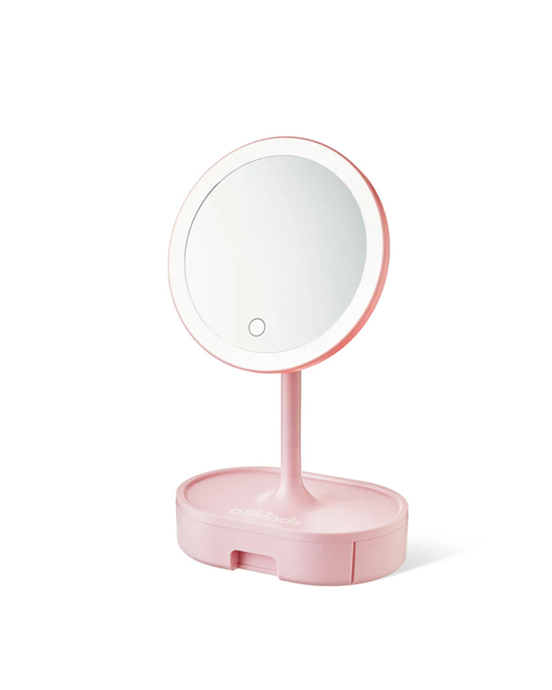 Light Up Storage Mirror