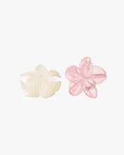 Load image into Gallery viewer, Tropical Mini Clip Set
